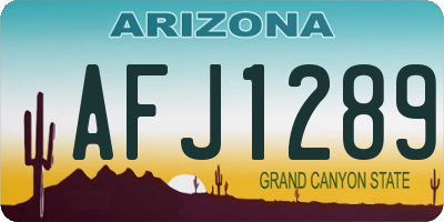 AZ license plate AFJ1289
