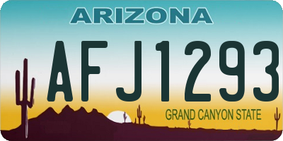 AZ license plate AFJ1293