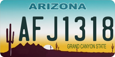 AZ license plate AFJ1318