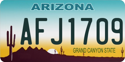AZ license plate AFJ1709