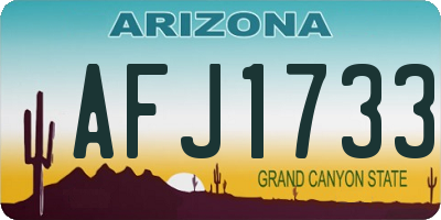 AZ license plate AFJ1733