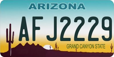 AZ license plate AFJ2229