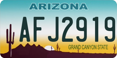 AZ license plate AFJ2919