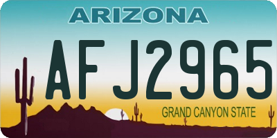 AZ license plate AFJ2965