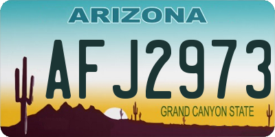 AZ license plate AFJ2973