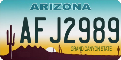 AZ license plate AFJ2989