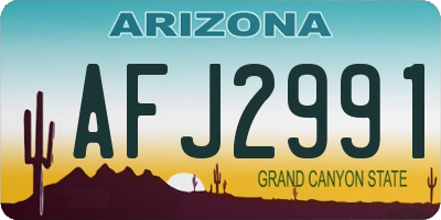 AZ license plate AFJ2991