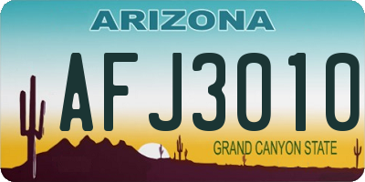 AZ license plate AFJ3010