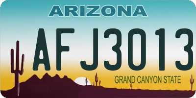 AZ license plate AFJ3013