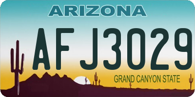 AZ license plate AFJ3029