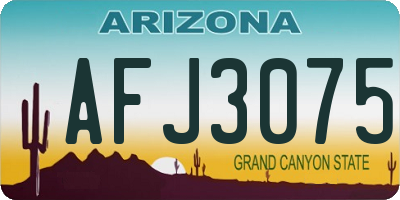 AZ license plate AFJ3075