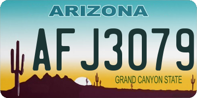 AZ license plate AFJ3079