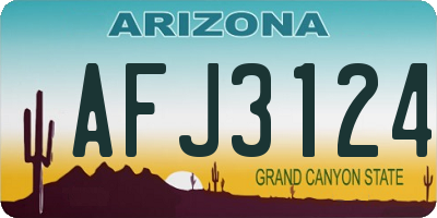 AZ license plate AFJ3124