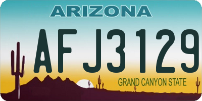 AZ license plate AFJ3129