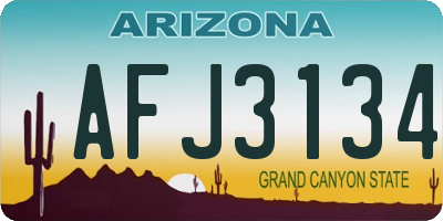 AZ license plate AFJ3134