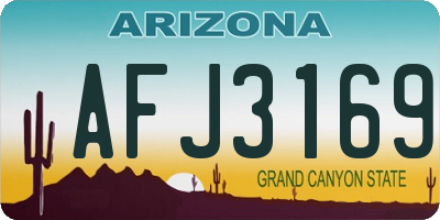 AZ license plate AFJ3169