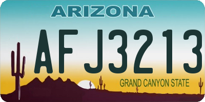 AZ license plate AFJ3213