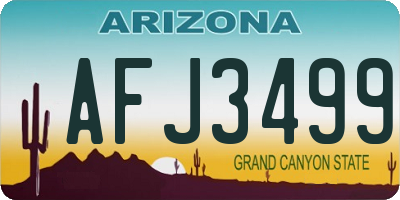 AZ license plate AFJ3499