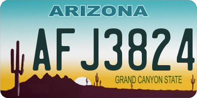 AZ license plate AFJ3824
