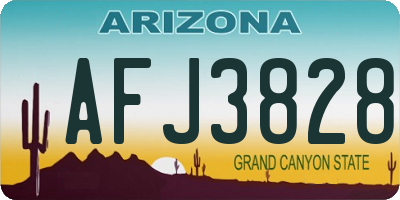 AZ license plate AFJ3828