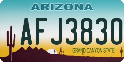 AZ license plate AFJ3830