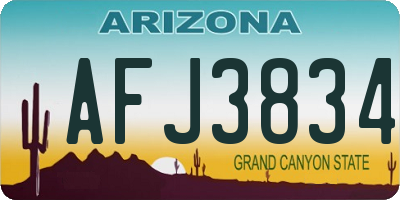 AZ license plate AFJ3834