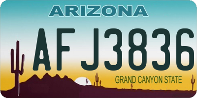 AZ license plate AFJ3836