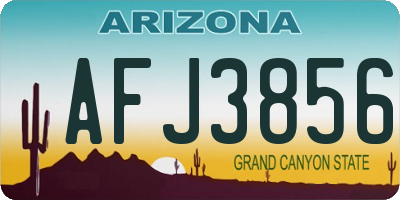AZ license plate AFJ3856