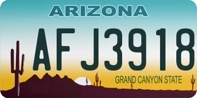 AZ license plate AFJ3918