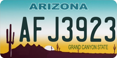 AZ license plate AFJ3923