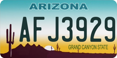 AZ license plate AFJ3929