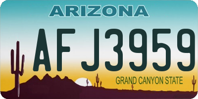 AZ license plate AFJ3959