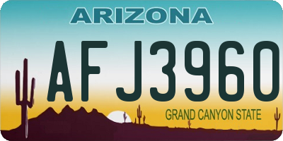 AZ license plate AFJ3960
