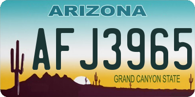 AZ license plate AFJ3965