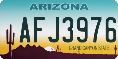 AZ license plate AFJ3976