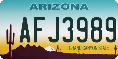 AZ license plate AFJ3989