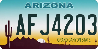 AZ license plate AFJ4203