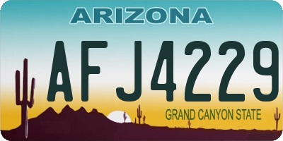 AZ license plate AFJ4229
