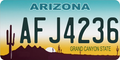 AZ license plate AFJ4236
