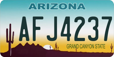 AZ license plate AFJ4237