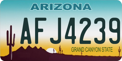 AZ license plate AFJ4239