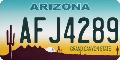 AZ license plate AFJ4289
