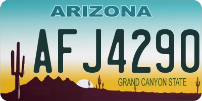 AZ license plate AFJ4290