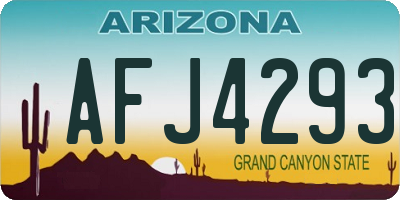 AZ license plate AFJ4293
