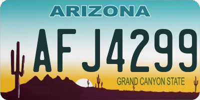 AZ license plate AFJ4299