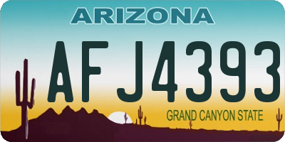 AZ license plate AFJ4393