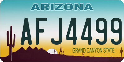 AZ license plate AFJ4499
