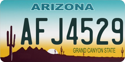 AZ license plate AFJ4529