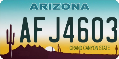 AZ license plate AFJ4603