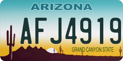AZ license plate AFJ4919